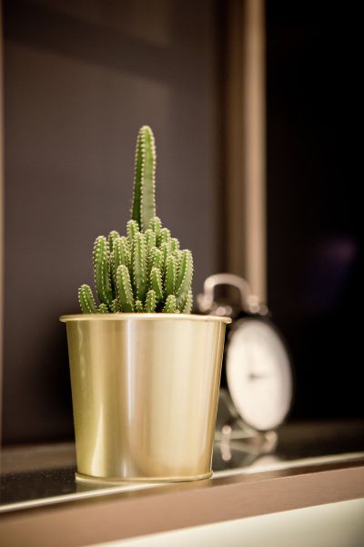 新成屋 - 日。光小築 Sunshine Inn的照片